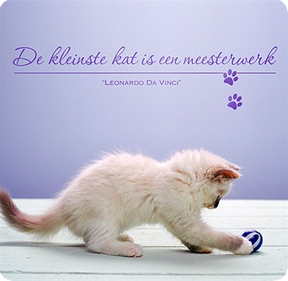 Living/thuis Kleinste kat