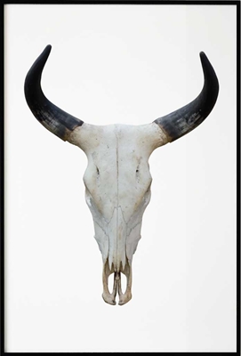 Poster & Gallery prints Insecten en dieren Buffalo Horns, Poster