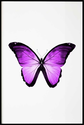 Poster & Gallery prints Insecten en dieren Pink Butterfly, Poster