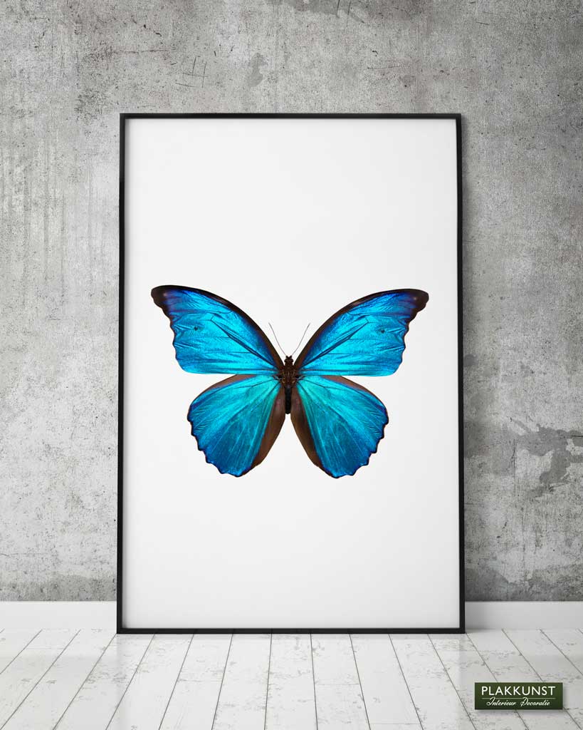 poster blue butterfly 2_1