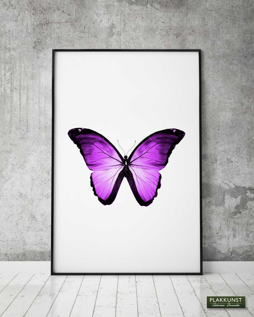 poster pink butterfly 2_1