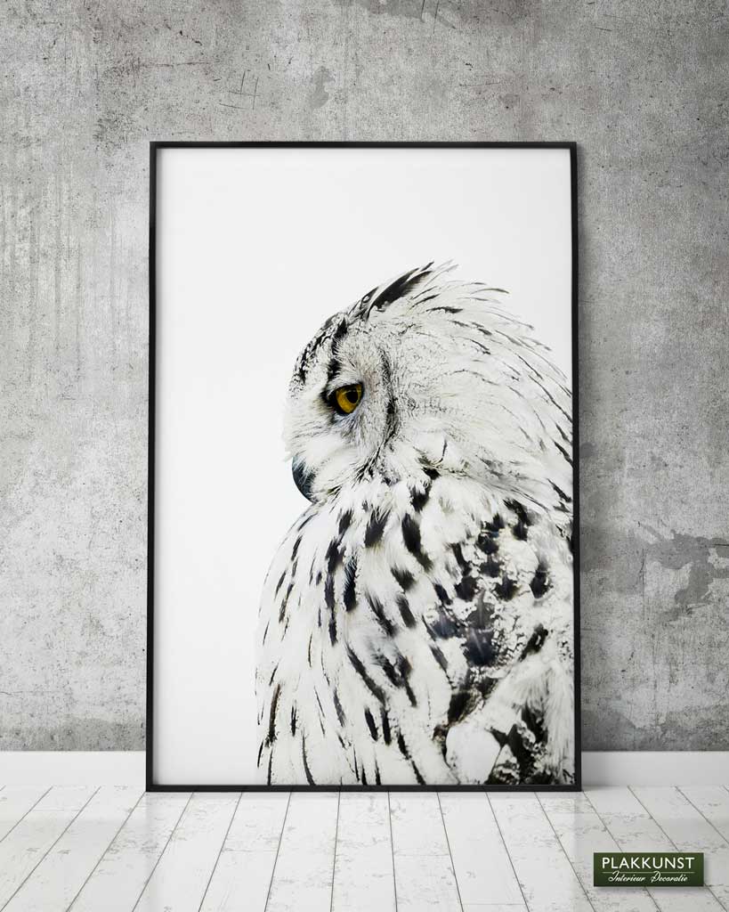 poster snow owl 2